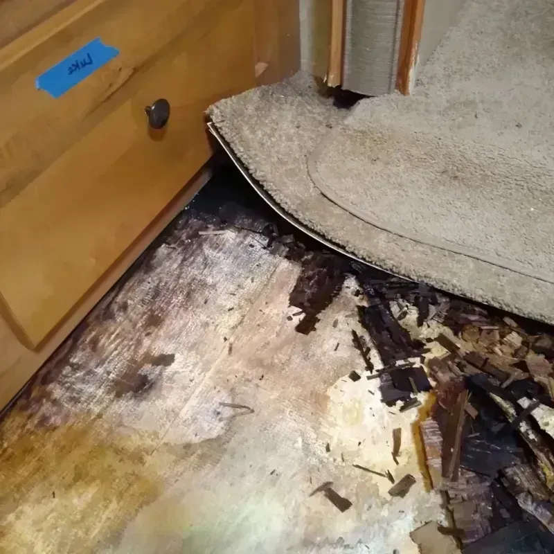 Wood Floor Water Damage in Montgomery County, TX